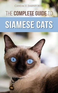 The Complete Guide to Siamese Cats