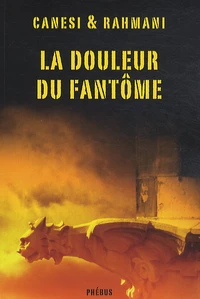 La douleur du fantôme