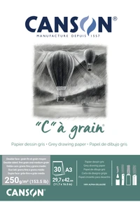 bl 30fl càgrain ®  a3 250g  gris