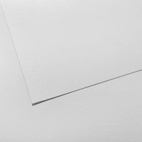 Feuille "c" à grain 224g - 50x65 cm - blanc