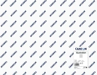 Feuille canson® illustration 200g - 50x65 cm