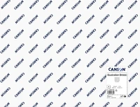 Feuille canson® illustration bristol 250g - 50x65 cm
