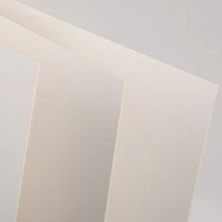 Feuille carton studio canson® éco 1 mm 2 faces - 50x65 cm