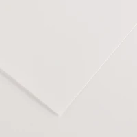 Feuille iris vivaldi® 120g - 50x65 cm - blanc (1)