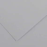 Feuille iris vivaldi® 120g - 50x65 cm - gris clair (35)