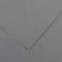 Feuille iris vivaldi® 120g - 50x65 cm - gris foncé (36)