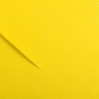 Feuille iris vivaldi® 120g - 50x65 cm - jaune canari (4)
