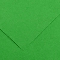 Feuille iris vivaldi® 120g - 50x65 cm - vert franc (29)