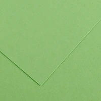 Feuille iris vivaldi® 120g - 50x65 cm - vert pomme (27)