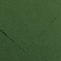Feuille iris vivaldi® 120g - 50x65 cm - vert sapin (31)