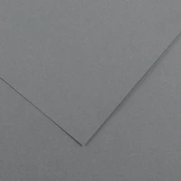 Feuille Iris Vivaldi® 240g - 50x65 cm - Gris foncé (36)