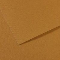Feuille mi-teintes® 160g - 50x65 cm - cachou (336)