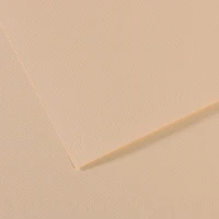 Feuille mi-teintes® 160g - 50x65 cm - coquille (112)