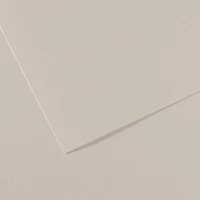 Feuille mi-teintes® 160g - 50x65 cm - gris perle (120)