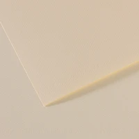 Feuille mi-teintes® 160g - 50x65 cm - lys (110)
