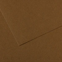 Feuille mi-teintes® 160g - 50x65 cm - marron foncé (501)
