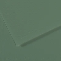 Feuille mi-teintes® 160g - 50x65 cm - sauge (190)