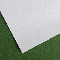 fl  buvard 50*65 blanc
