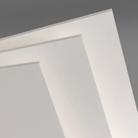 fl   carton plume  50*65 10mm /4