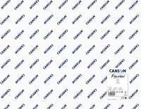 FL HUILE FIGUERAS 50X65 290G GRAIN TOILE BLANC
