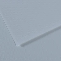 fl mi-teintes 50x65 160g bleu acier 182
