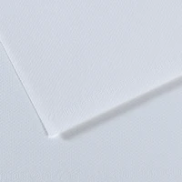 fl mi-teintes 50x65 160g bleu alaska 181