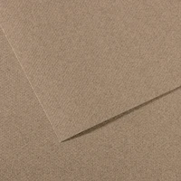 Feuille Canson mi teinte 50x65 gris chiné