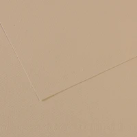 Feuille Canson 50X65 mi-teinte Gris Trianon