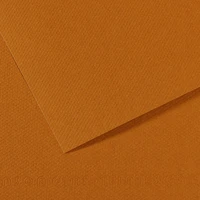 Lot de 25 feuilles mi-teinte 50x65 havane clair(321-184)