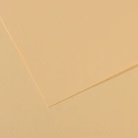 Fl mi-teintes 50x65 160g lichen 407