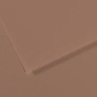 Fl mi-teintes 50x65 160g marron glacé 188