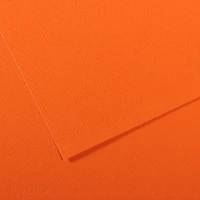 Feuille raisin mi-teinte 160g /Orange
