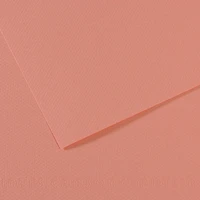 Fl   mi-teintes  50x65 160g  rose fonce  352