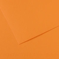 Lot de 25 feuilles mi-teinte 50x65 saumon (321-104)        paquet de 25
