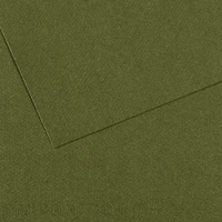 Lot de 25 feuilles 50x65 mi-teinte vert océan (331-454)