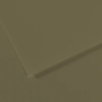 fl   mi-teintes  50x65 160g  vert olive 191
