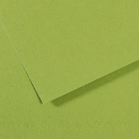 Fl   mi-teintes  50x65 160g  vert pomme  475