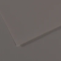 fl mi-teintes® a4 160g graphite 185 nouveau