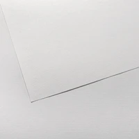 INGRES ECOLES® 50*65 80G BLANC NATUREL