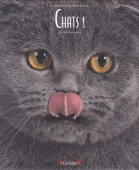 Chats !