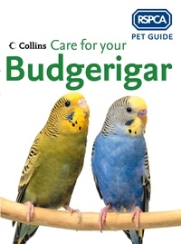Care for your Budgerigar.