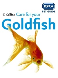 Care for your Goldfish.