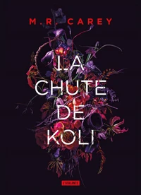 La chute de Koli
