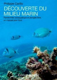 Découverte du milieu marin