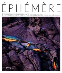 Ebook pour iit jee téléchargement gratuit Ephémère - Éternelle renaissance