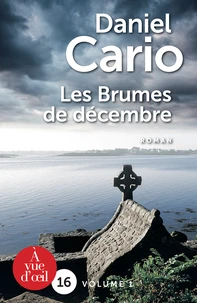 Les Brumes de décembre