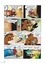 La dynastie Donald Duck Tome 22 Intégrale Carl Barks 1947-1948. Noël sur le Mont Ours et autres histoires