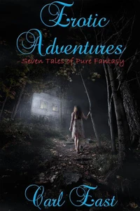 Erotic Adventures