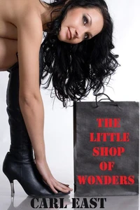 The Little Shop of Wonders