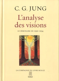 L'analyse des visions